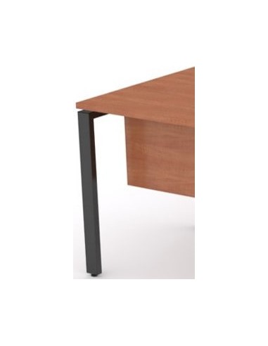 Mesa Pórtica con ala