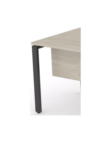 Mesa Pórtica con ala