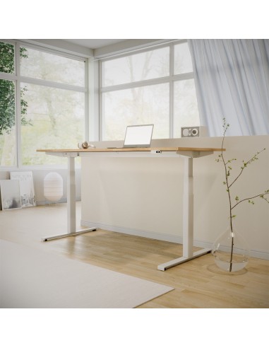 Desk Frame 2