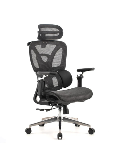 Silla Trek Plus