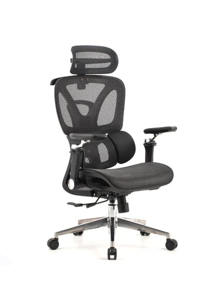 Silla Trek Plus