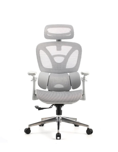 Silla Trek Plus