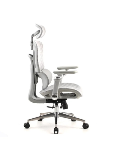 Silla Trek Plus