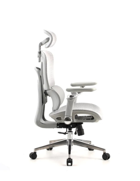 Silla Trek Plus