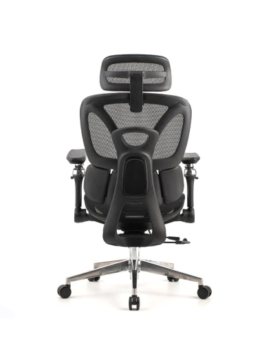 Silla Trek Plus