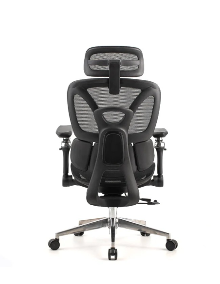 Silla Trek Plus