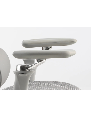 Silla Trek Plus