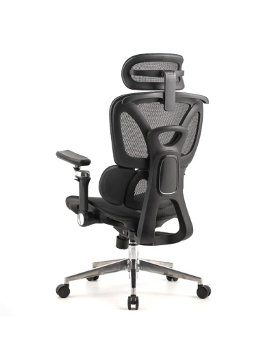 Silla Trek Plus