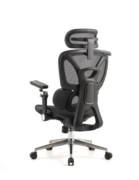 Silla Trek Plus