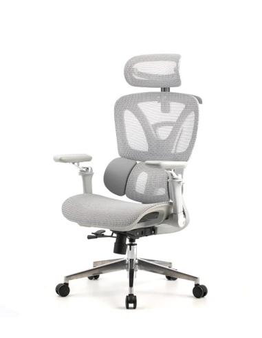 Silla Trek Plus