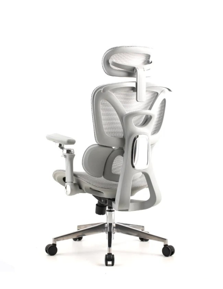 Silla Trek Plus