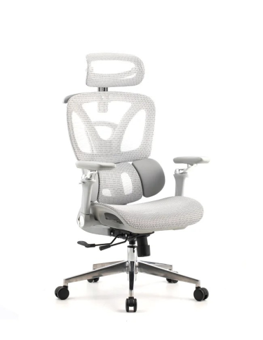 Silla Trek Plus