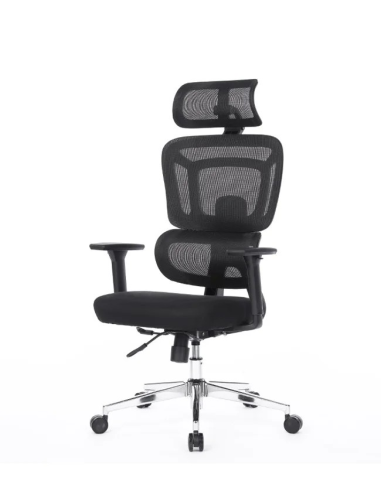 Silla Apollo