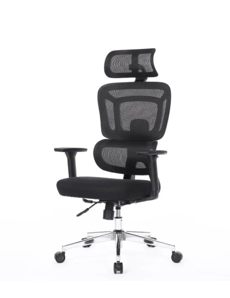 Silla Apollo