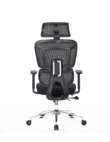 Silla Apollo