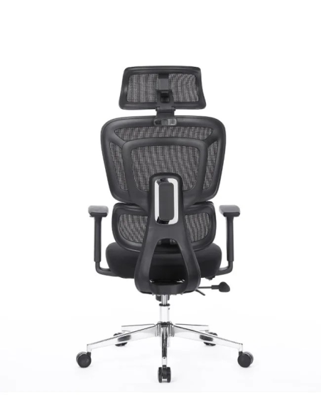 Silla Apollo