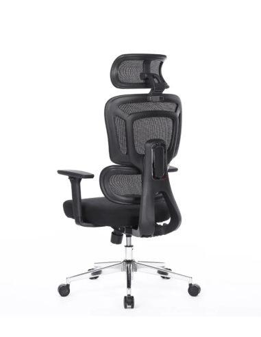 Silla Apollo