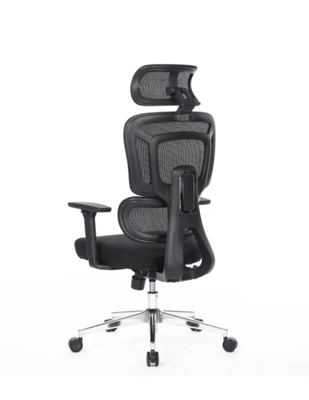 Silla Apollo