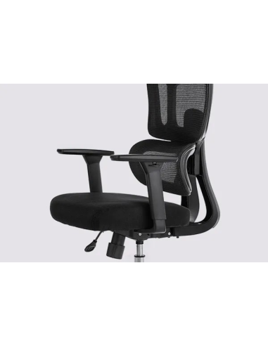 Silla Apollo