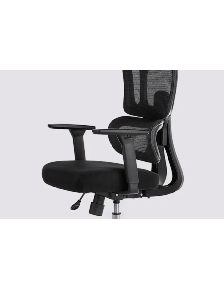 Silla Apollo