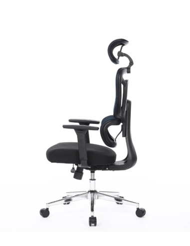 Silla Apollo