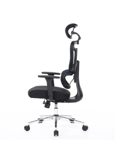 Silla Apollo