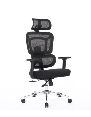 Silla Apollo