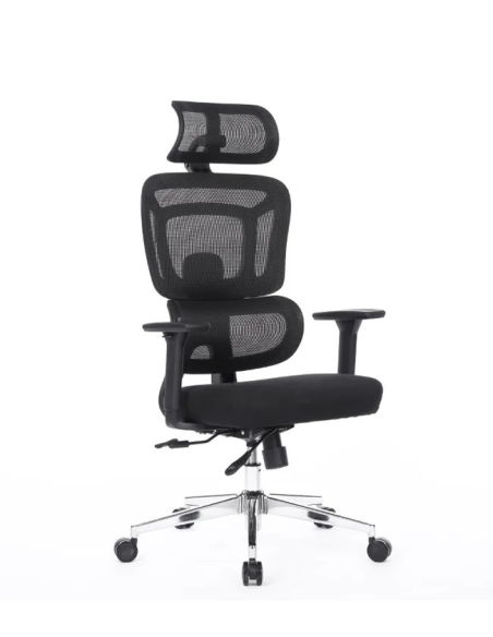 Silla Apollo