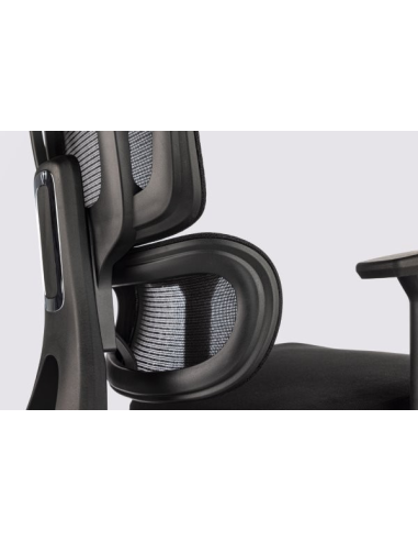 Silla Apollo