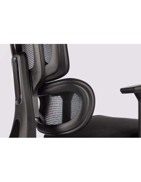 Silla Apollo