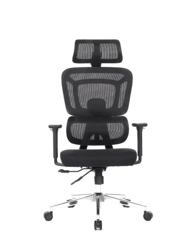 Silla Apollo