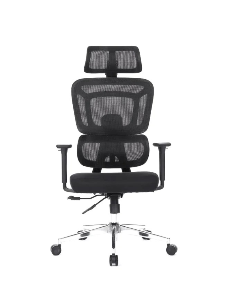 Silla Apollo