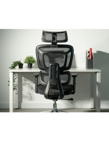 Silla Apollo