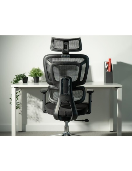 Silla Apollo