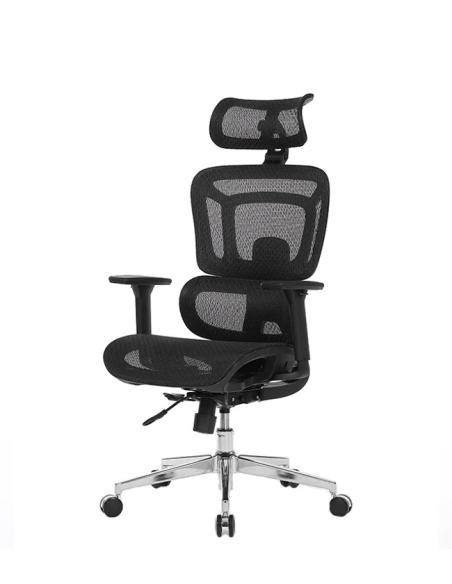 Silla Apollo Plus
