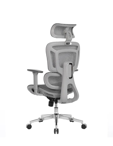 Silla Apollo Plus