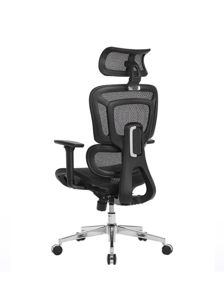 Silla Apollo Plus