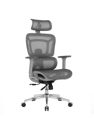 Silla Apollo Plus
