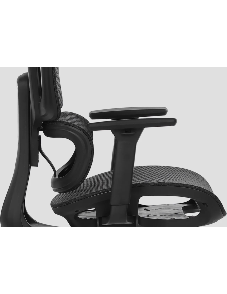 Silla Apollo Plus