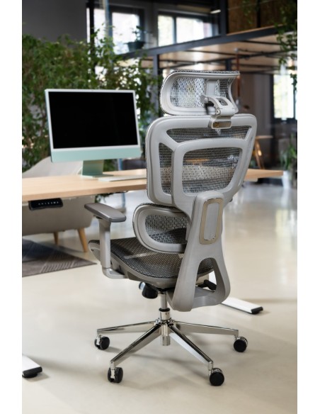 Silla Apollo Plus