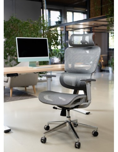 Silla Apollo Plus