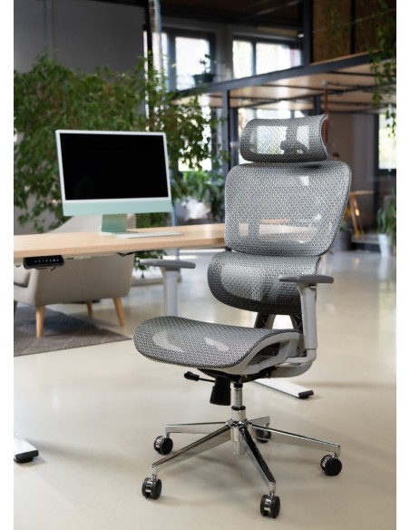 Silla Apollo Plus