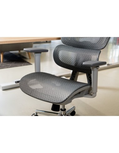Silla Apollo Plus