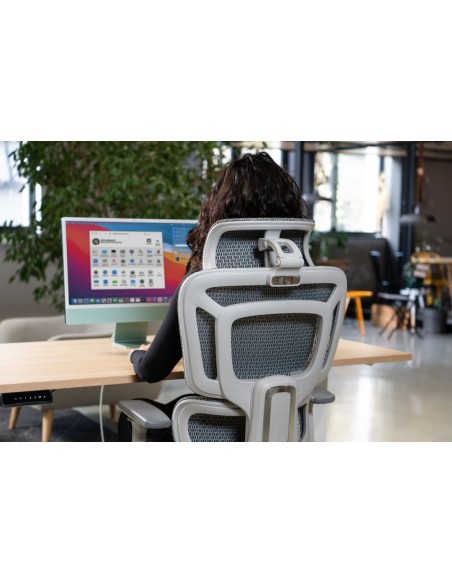 Silla Apollo Plus