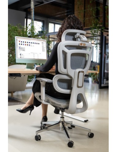 Silla Apollo Plus