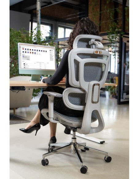 Silla Apollo Plus