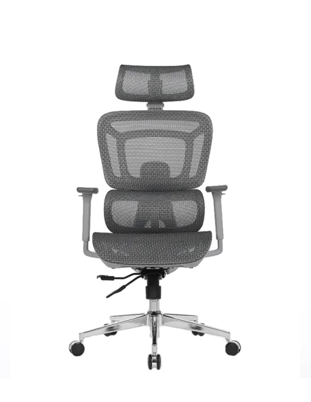 Silla Apollo Plus