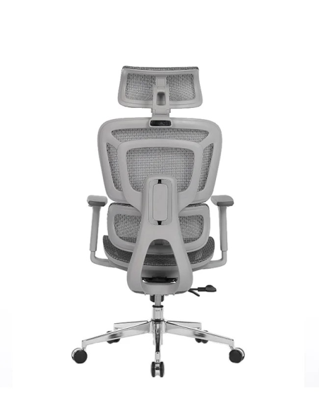 Silla Apollo Plus