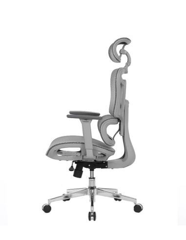 Silla Apollo Plus