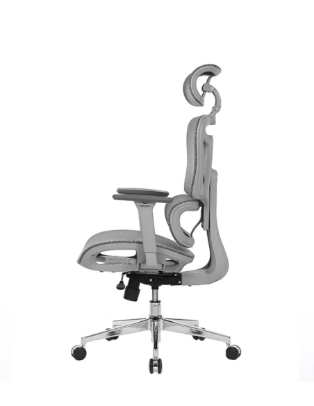 Silla Apollo Plus